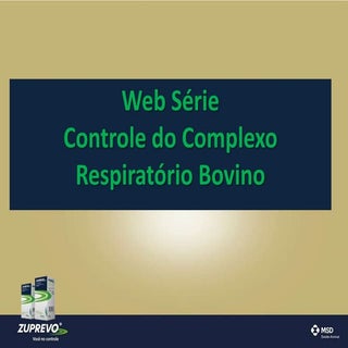 Web Série: Controle do complexo res...