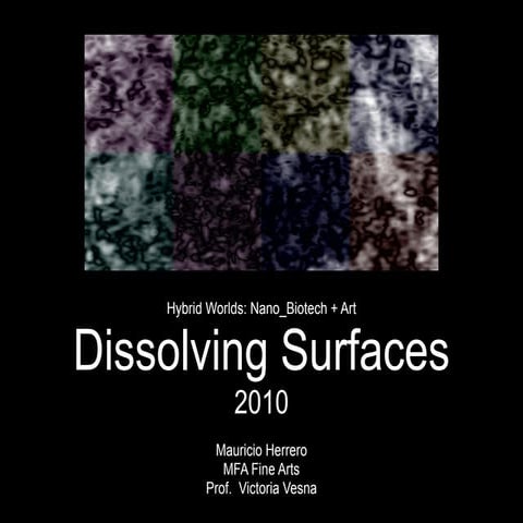 Mauricio Herrero, Dissolving Surfaces, Hybrid Worlds