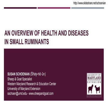 On overview of disease conditions in small ruminants
