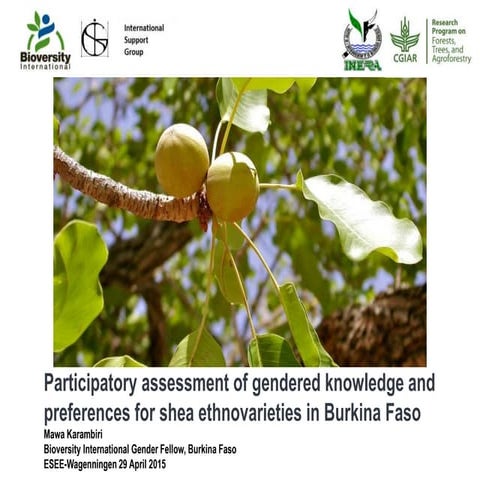 Participatory assessment of gendered knowledge and preferences for shea ethno...