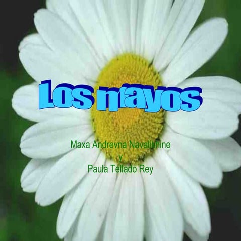 Maxa e paula telladofinal