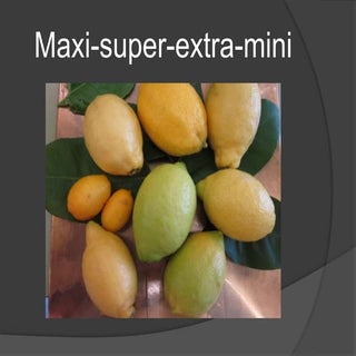 Maxi super-extra-mini