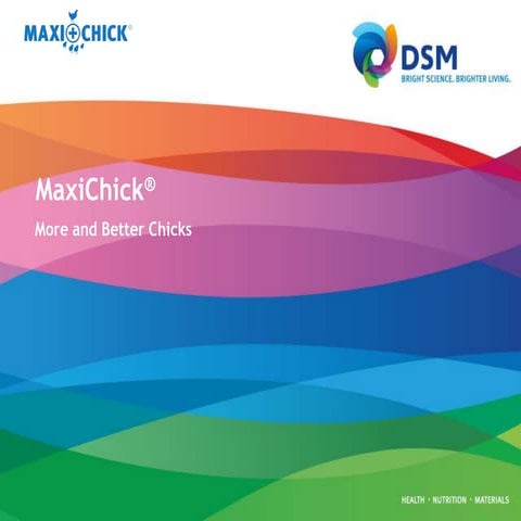 MaxiChick™ - Produce More & Better Chicks | PPTX