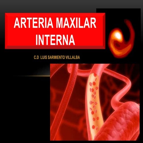 ARTERIA MAXILAR INTERNA