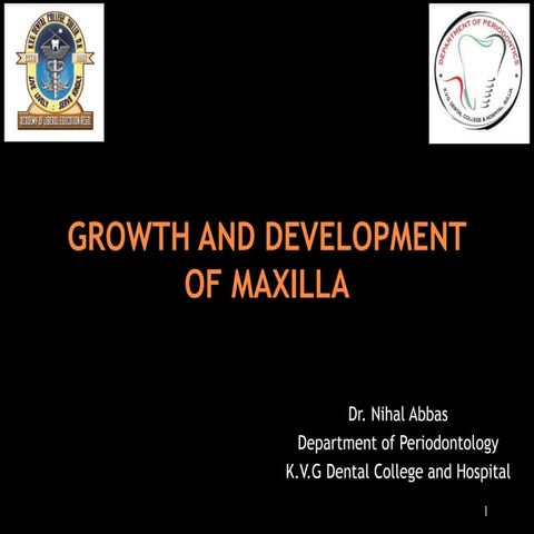 Maxilla anatomy first year periodontal mds