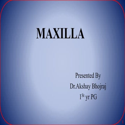 Maxilla 