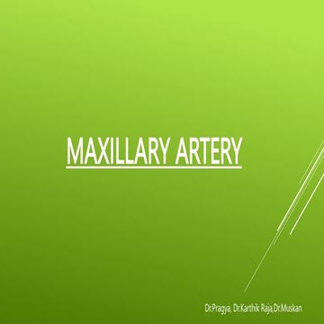 maxillary artery presentation for anatomy