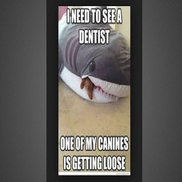 Permanent Maxillary canine- anatomy, chronology and developmental variation