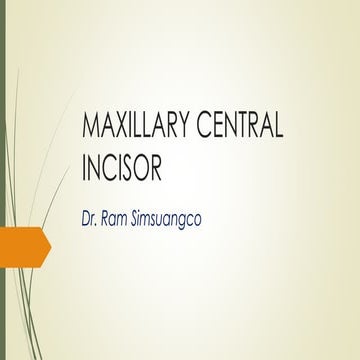 Maxillary central incisor (ORAL ANATOMY)