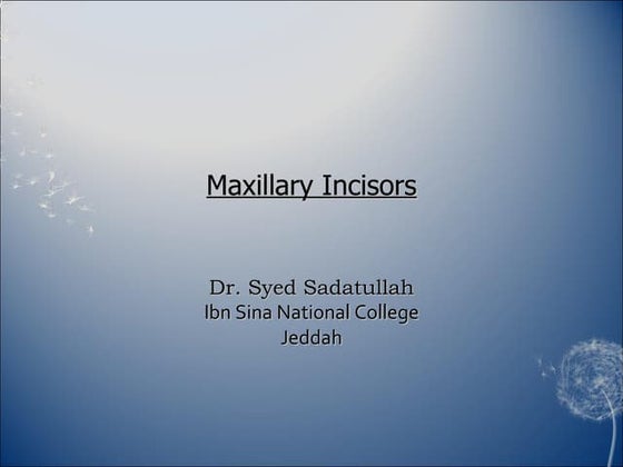 morphology of Maxillary central and lateral incisors teeth | PPT