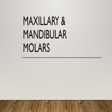 Tooth morphology of MAXILLARY & MANDIBULAR.pptx