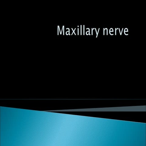 Maxillary nerve dental surgery