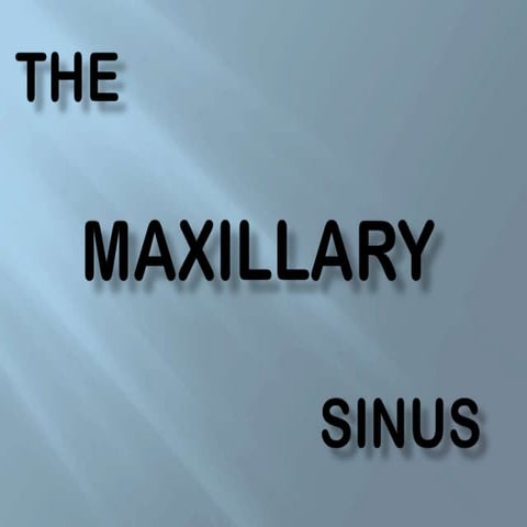 Maxillary Sinus