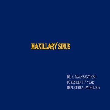 Maxillary Sinus.pptx 1st bds lecture histology