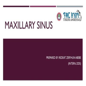 Maxillary Sinus Anatomy and infection.pptx