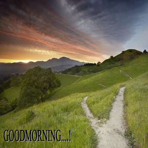 MAXILLARY SINUS LIFT PROCEDURES.ppt