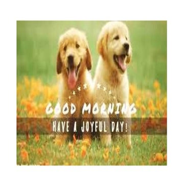 Maxillary sinus part  1