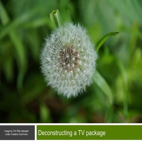 Exploiting video assets