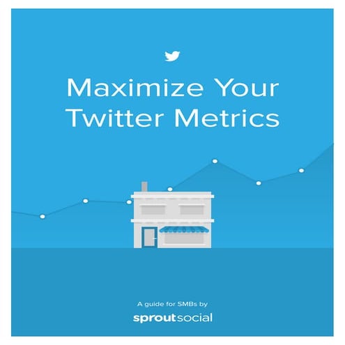 Maximize Your Twitter Metrics