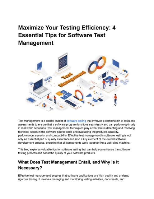 Maximize Your Testing Efficiency_ 4 Essential Tips for Software Test Manageme...