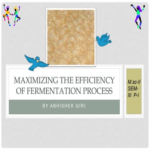 Maximizing the efficiency of fermentation process