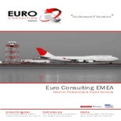 Maximo Professional & Expert Services