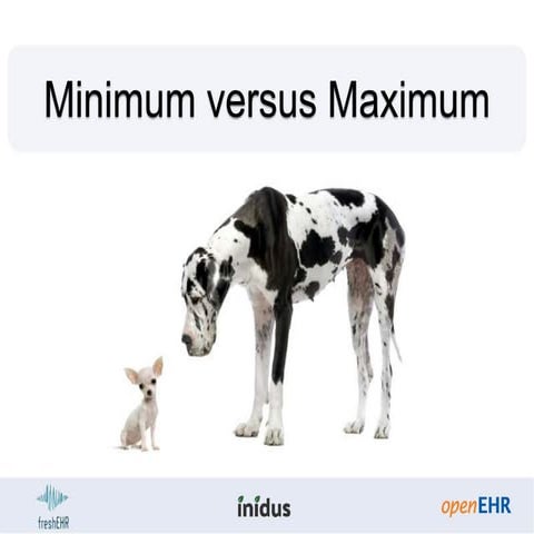 Clinical modelling patterns: Minimal vs. maximal modelling