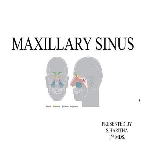 Maxillary sinus | PPTX