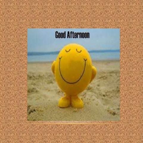 Maxillary sinus sinus 