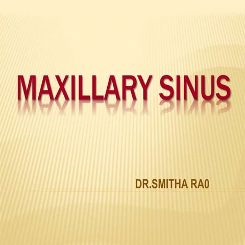 Max sinus smitha 
