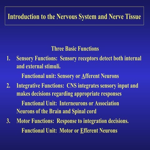 Introduction to the nervous system and nerve tissue[1]