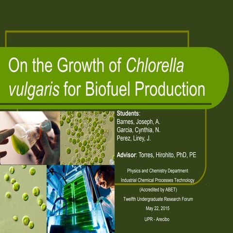 May 2015 c. vulgaris to biofuel presentation