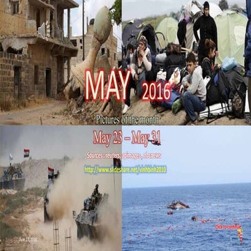 MAY 2016 - Pictures of the month - May 23 -May 31