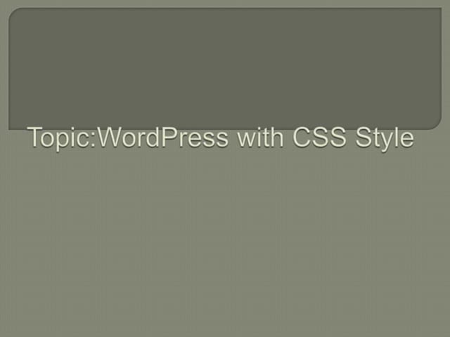 css and wordpress