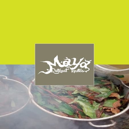 The Ayahuasca Medicine