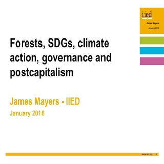 Forests, SDGs, climate action, gove...