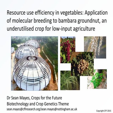 " Resource use efficiency in vegetables: Application of molecular breeding to...