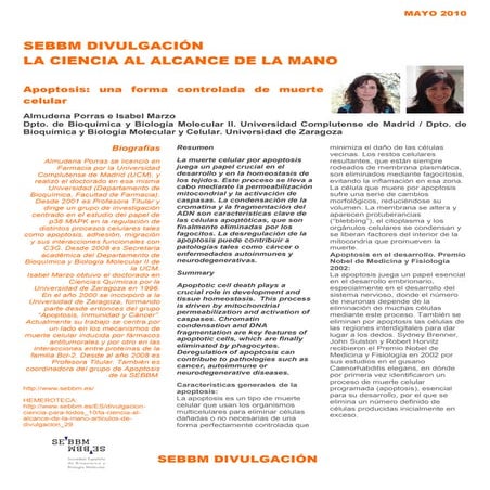 Apoptosis: una forma controlada de muerte celular