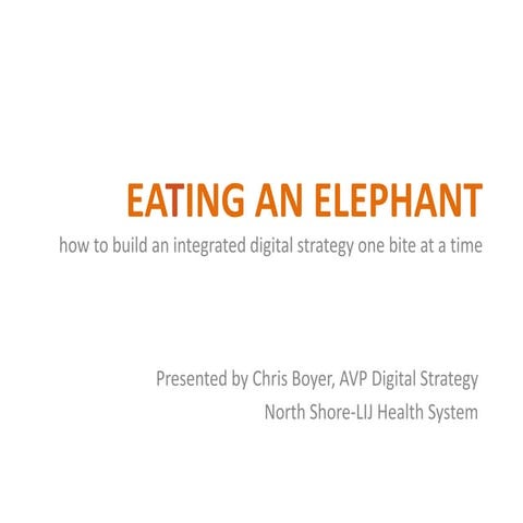 Eating an elephant: how to build an integrated digital strategy one bite at a...