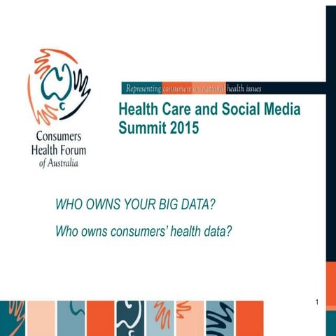 Leanne Wells' Presentation at the Health Care & Social Media Summit 2015 - Big Data