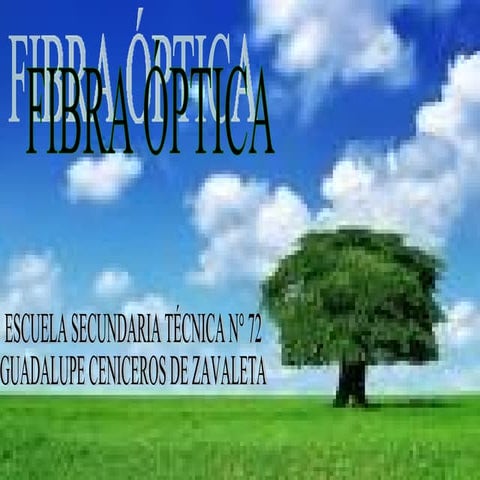 Mayra Fibra Optica