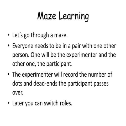 Maze Learning