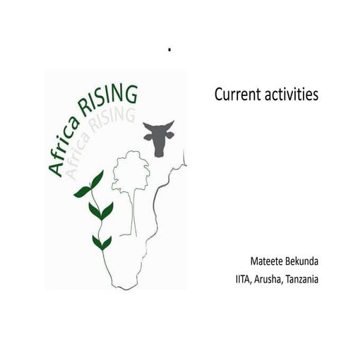 Mateete Bekunda (Africa Rising) - Africa Rising current activities