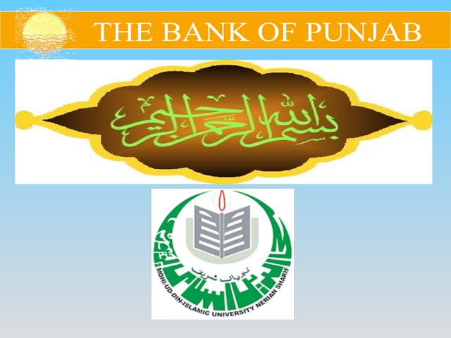 bank of punjab Mba project 