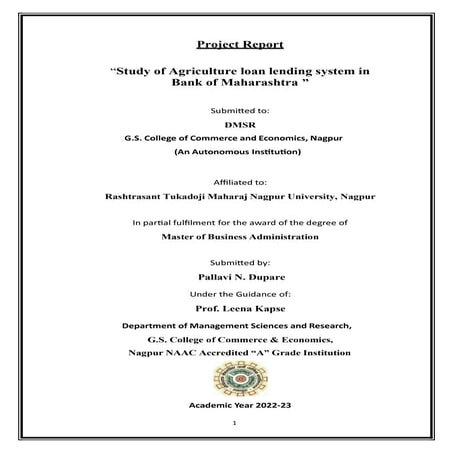 MBA_report_agriculture_for_good_score.pdf