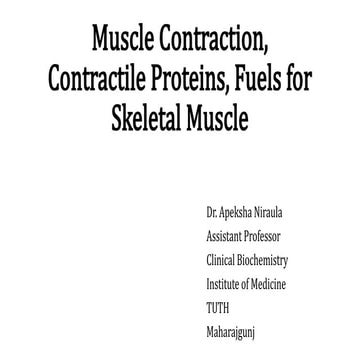 Comprehensive Overview of Muscle Contraction Mechanisms and Energy ...