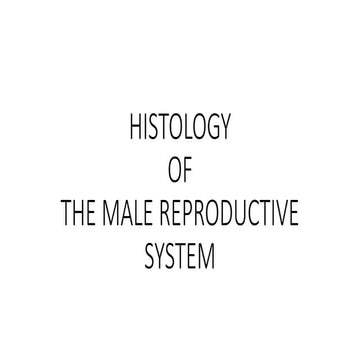 mbbs 200l HISTOLOGY b.pptx histology of urinary system