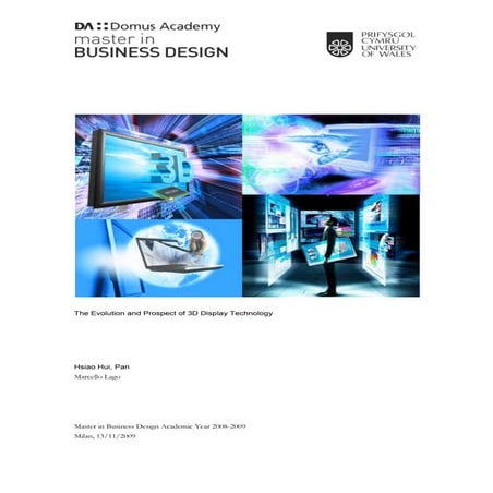 Master Thesis 2009