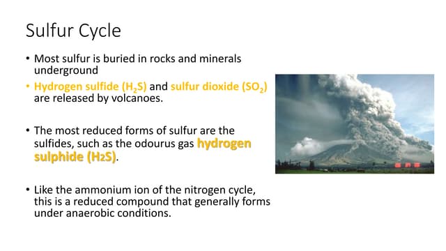 Sulphur cycle