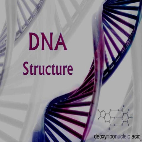 DNA structure